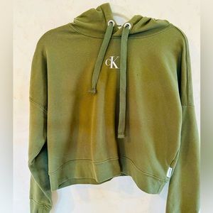 Calvin Klein Jeans Logo Hooded Cropped Sweatshirt.
